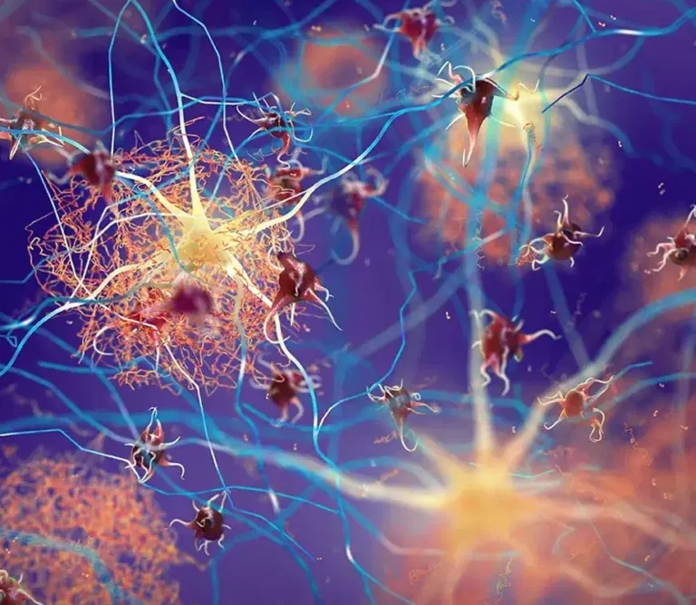Biological diagram showing a human profile with highlighted glowing neural pathways in the brain and spine.